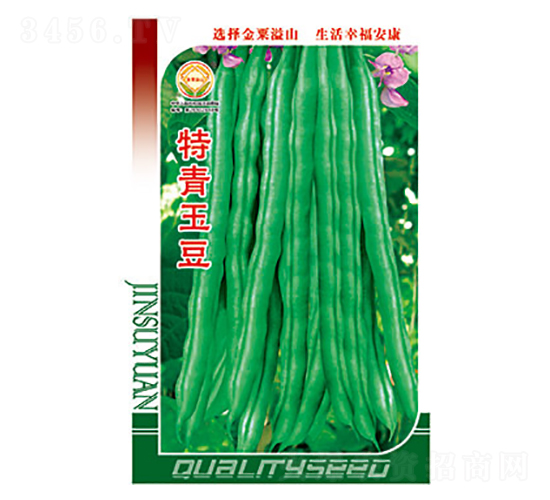 �����N��-������-̫���N�I(y��)