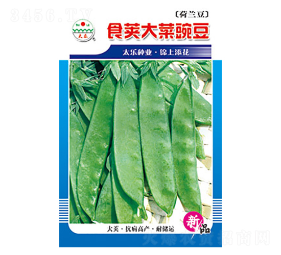 �㶹�N��-ʳ�v����㶹-̫��(l��)�N�I(y��)