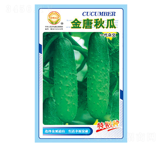 �S�ϷN��-�������-̫��(l��)�N�I(y��)