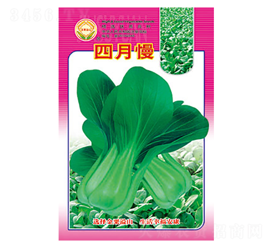 �ײ˷N��-������-̫��(l��)�N�I(y��)