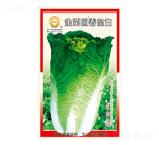 �ײ˷N��-�����@���ʰ�-̫���N�I(y��)