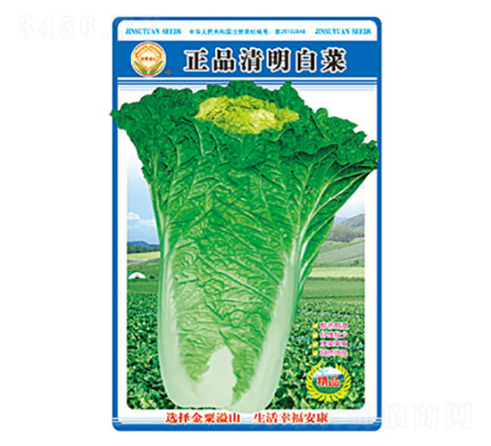 �ײ˷N��-�����ײ�-̫���N�I(y��)