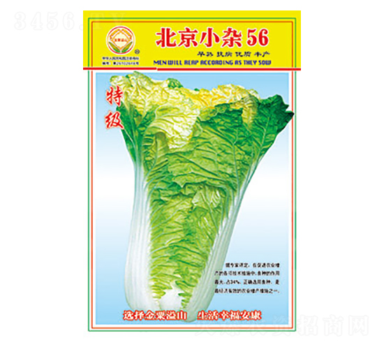 �ײ˷N��-����С�s56-̫��(l��)�N�I(y��)