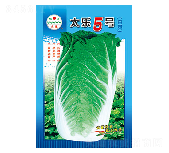 �ײ˷N��-̫��5̖(h��o)-̫���N�I(y��)