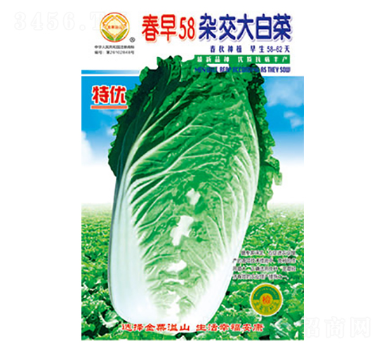 �ײ˷N��-����58-̫���N�I(y��)