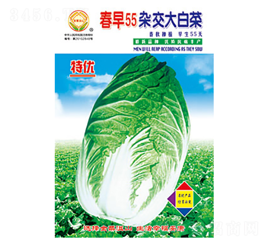 �ײ˷N��-����55-̫���N�I(y��)