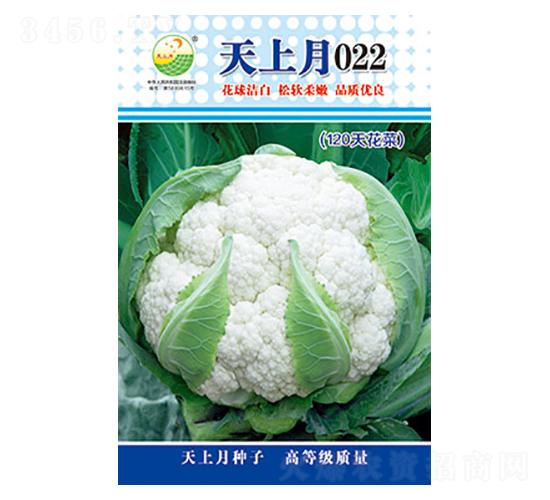 �׻�Ҭ�˷N��-������022-̫��(l��)�N�I(y��)