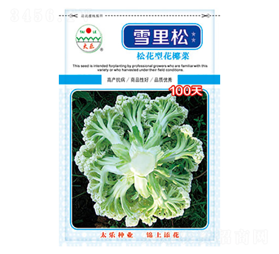 �׻�Ҭ�˷N��-ѩ����100��-̫��(l��)�N�I(y��)