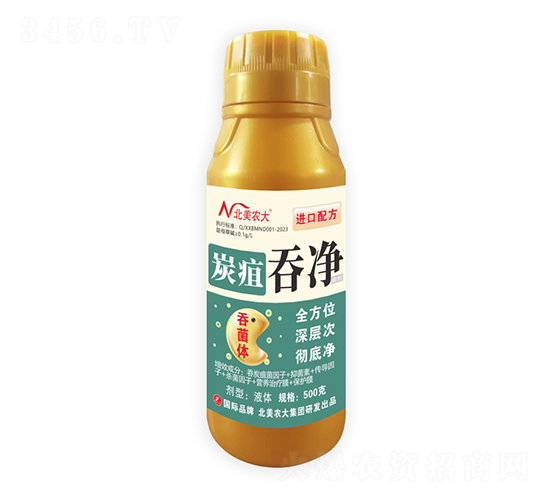 ̿���̃�-�����r��