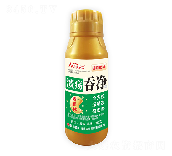 �����̃�-�����r(n��ng)��