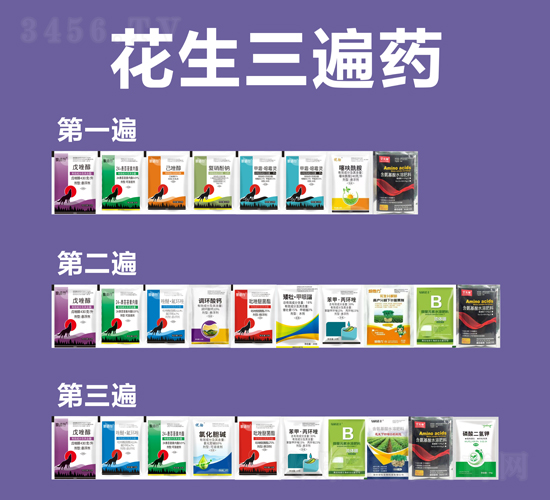 ��������ˎ-�P�