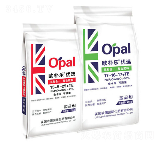 ��ʺ�һ��(f��)�Ϸ���-�W�㘷