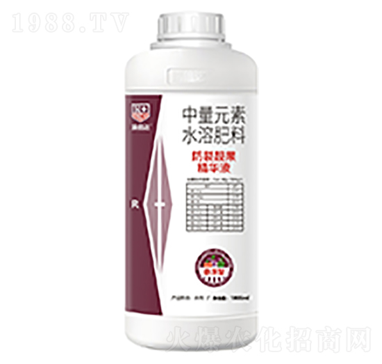 �����n�����AҺ-���_