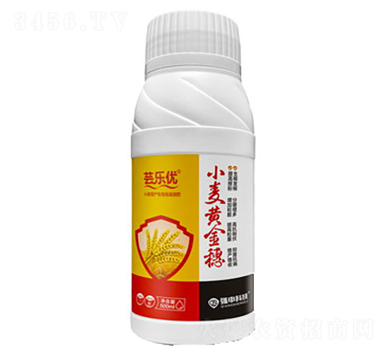 С���S����-�|����(y��u)-����Ƽ�