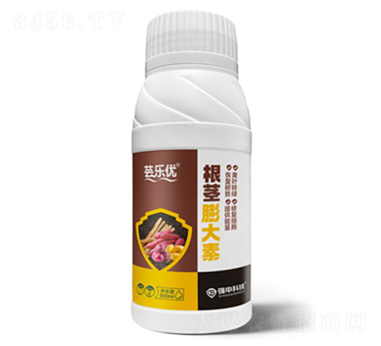 ���o�����-�|����(y��u)-����Ƽ�