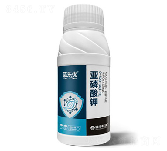 �|����(y��u)���������-��(qi��ng)��Ƽ�