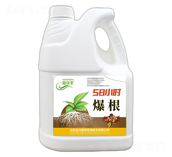 ΢�������-����-�����S-��������