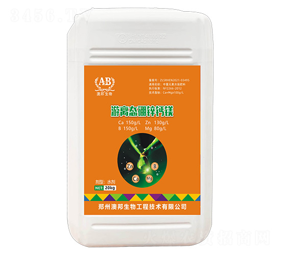 ���x�B(t��i)���\�}�V-�İ�����