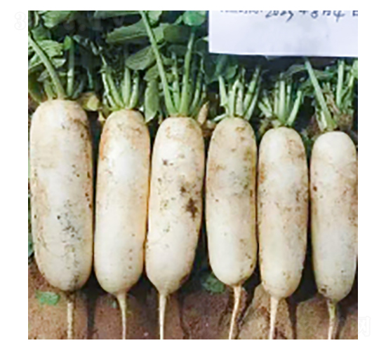 �}�ȷN��-����313-�A孷N�I(y��)