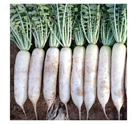 �}�ȷN��-��Ů-�A孷N�I(y��)