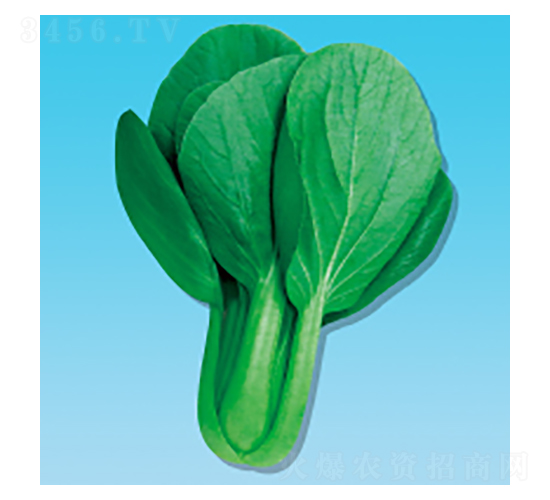 �๣�˷N��-���398-�A孷N�I(y��)