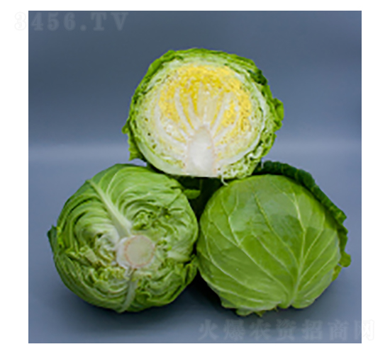 ���{�N��-���{2116-�A孷N�I(y��)