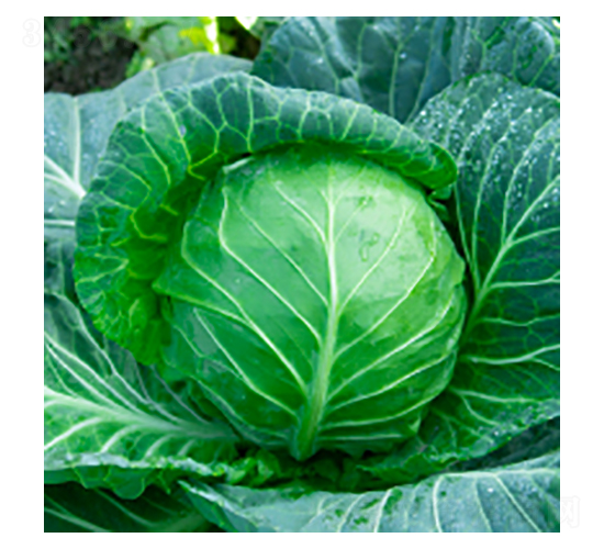 ���{(l��n)�N��-學�312-�A孷N�I(y��)