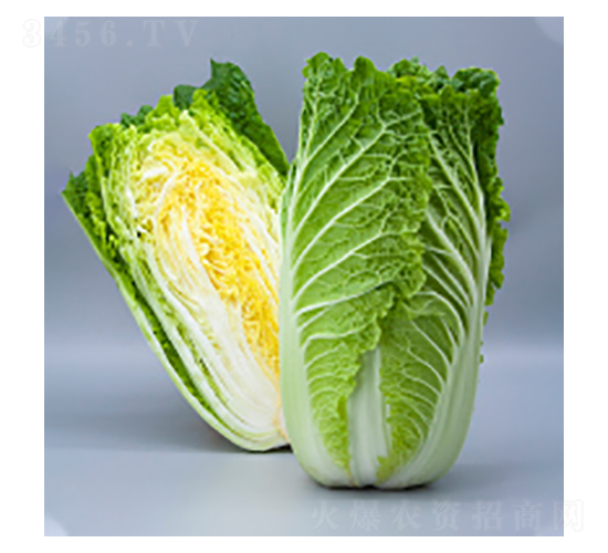 ��ײ˷N��-����-�A孷N�I(y��)