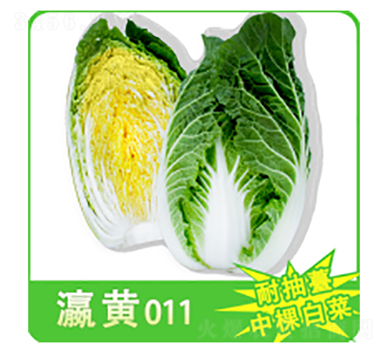 ��ײ˷N��-��S011-�A孷N�I(y��)