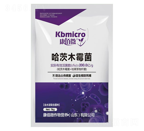 ����ľù��-����΢