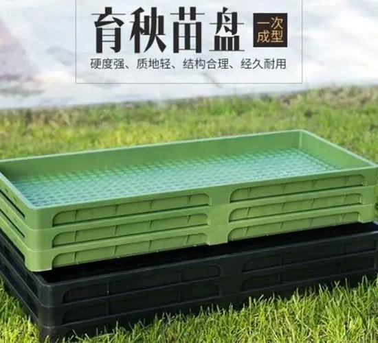 �������P-�x�h(yu��n)�Ƽ�