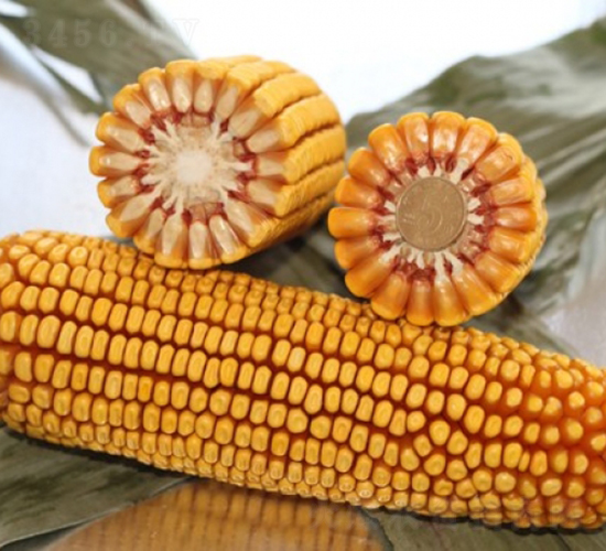 ����119-���׷N��-�Ǻ�����N�I(y��)