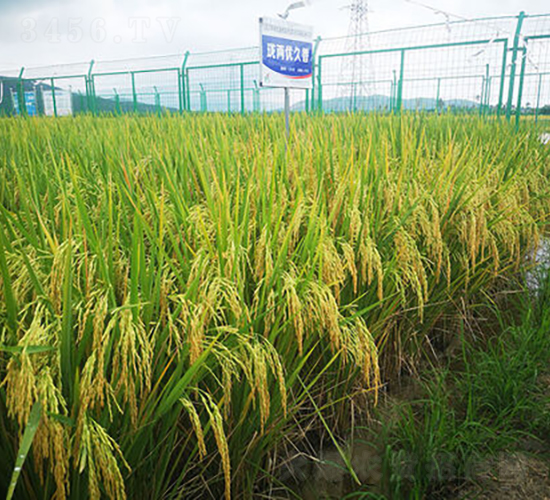 ���Ƀ�(y��u)����-ˮ���N��-�𽡷N�I(y��)