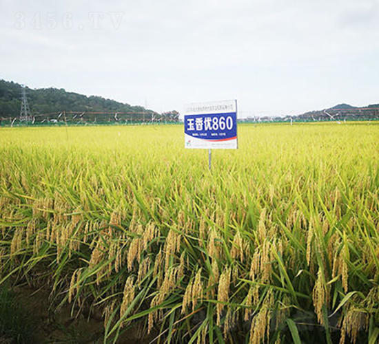 ���マ(y��u)860-ˮ���N��-�𽡷N�I(y��)