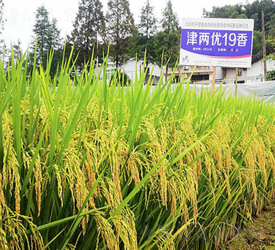 ��Ƀ�(y��u)����-ˮ���N��-�𽡷N�I(y��)