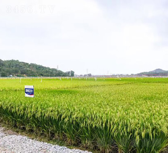 ��Ƀ�(y��u)28-ˮ���N��-�𽡷N�I(y��)