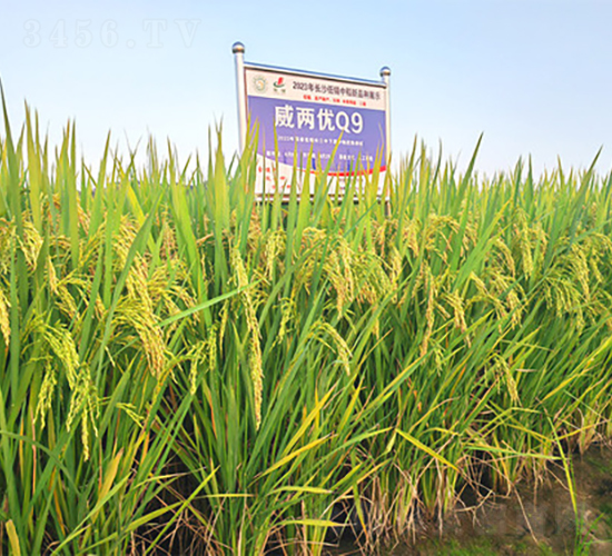 ���Ƀ�(y��u)Q9-ˮ���N��-�𽡷N�I(y��)