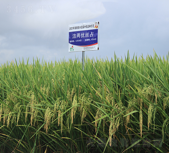 ���Ƀ�(y��u)�zռ-ˮ���N��-�𽡷N�I(y��)