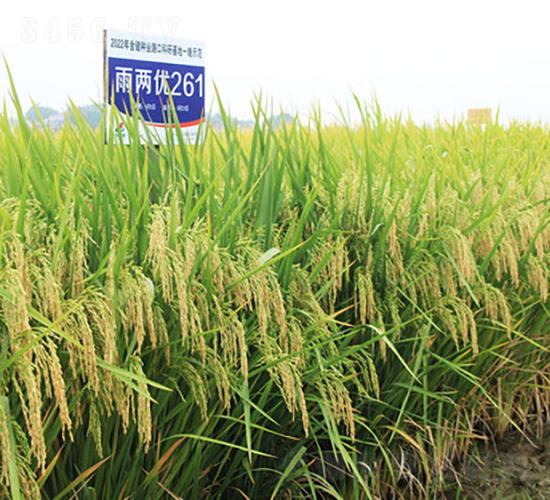 ��Ƀ�(y��u)261-ˮ���N��-�𽡷N�I(y��)