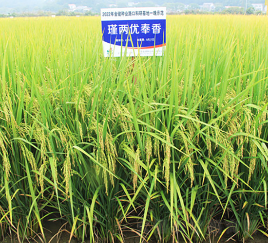 誃Ƀ�(y��u)����-ˮ���N��-�𽡷N�I(y��)