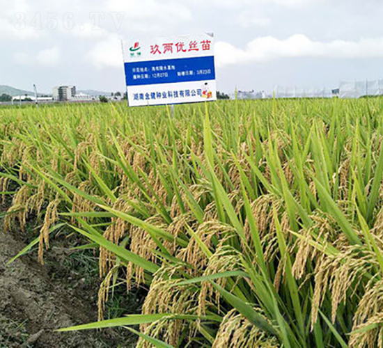 ���Ƀ�(y��u)�z��-ˮ���N��-�𽡷N�I(y��)