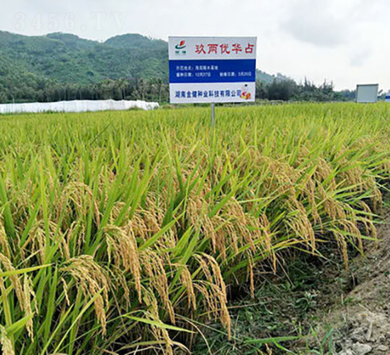 ���Ƀ�(y��u)�Aռ-ˮ���N��-�𽡷N�I(y��)