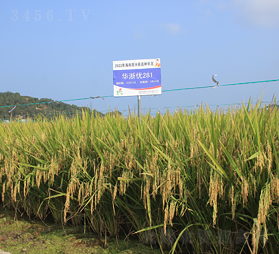 �A�マ(y��u)281-ˮ���N��-�𽡷N�I(y��)