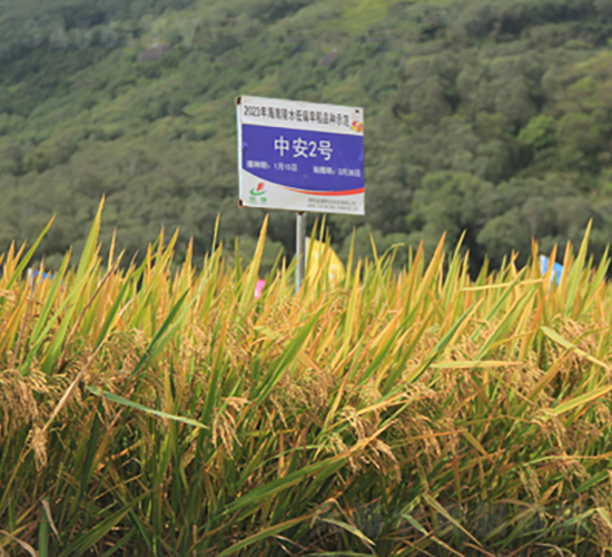 �а�2̖(h��o)-ˮ���N��-�𽡷N�I(y��)