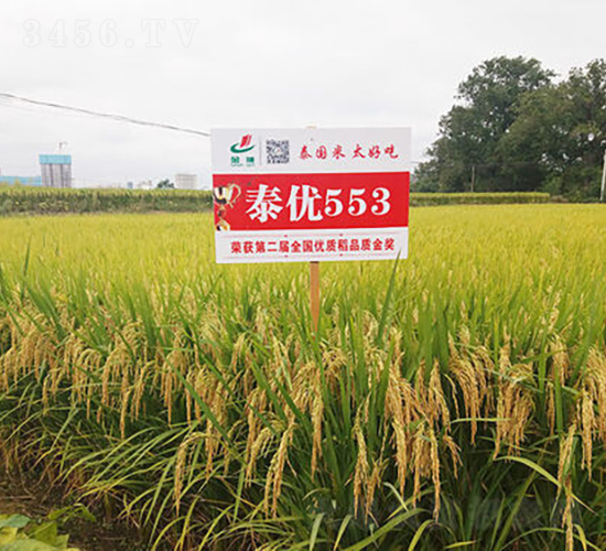 ̩��(y��u)553-ˮ���N��-�𽡷N�I(y��)