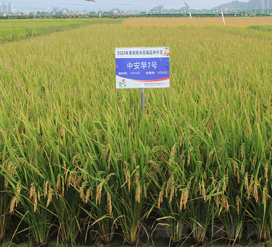 �а�7̖(h��o)-ˮ���N��-�𽡷N�I(y��)