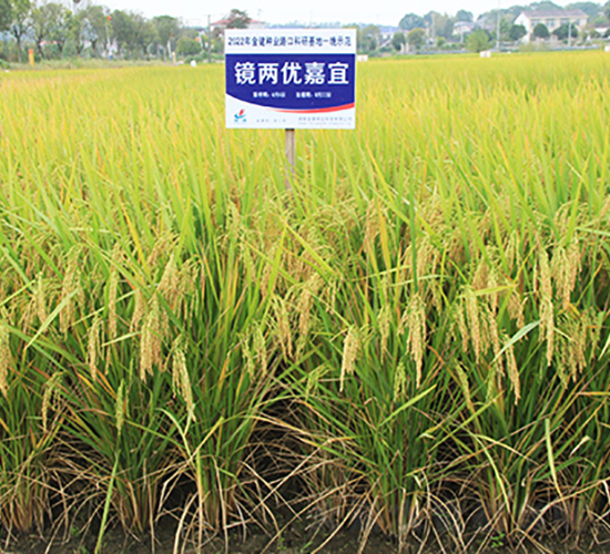 �R�Ƀ�(y��u)����-ˮ���N��-�𽡷N�I(y��)