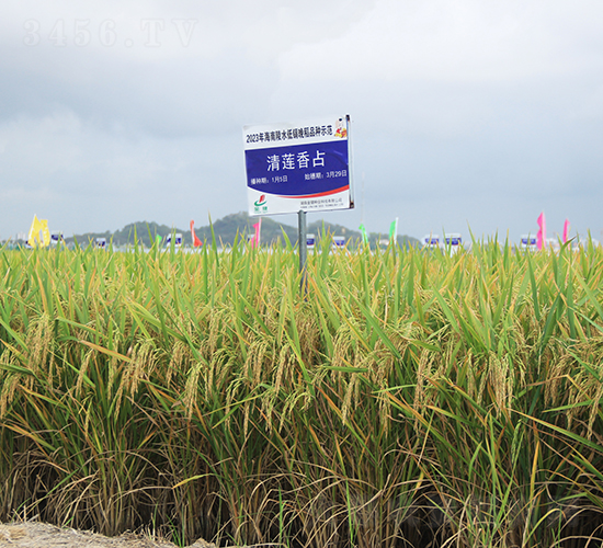 ��ɏ��ռ-ˮ���N��-�𽡷N�I(y��)