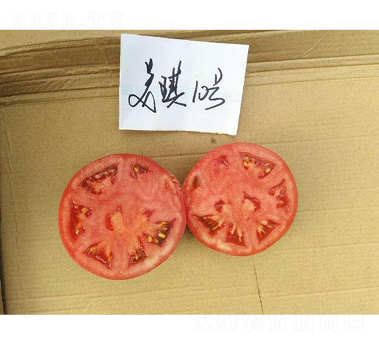 �߿�����10̖-���ѷN��-���S�N�I(y��)