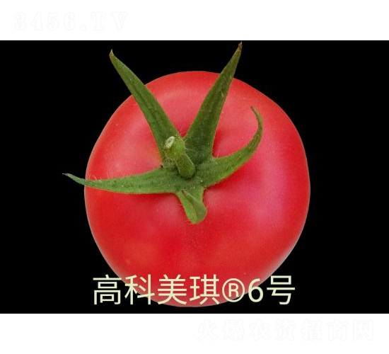 �߿�����6̖(h��o)-���ѷN��-���S�N�I(y��)